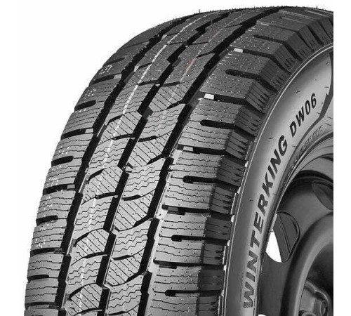 Double Star DW06 205/65R16C 107/105R, TL