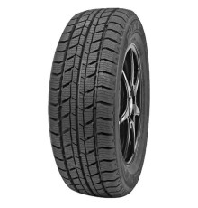 Delinte Winter WD2 205/65R16C 107/105T, TL