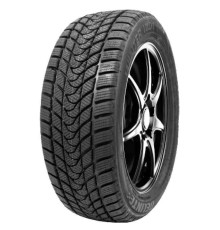 Delinte Winter WD1 225/45R18 95H, TL