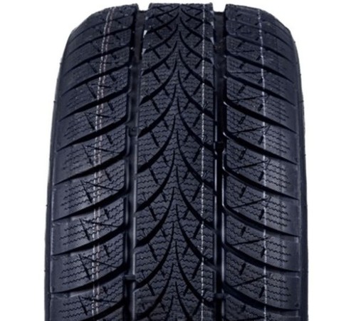 Triangle XL WinterX TW401 205/55R17 95V 