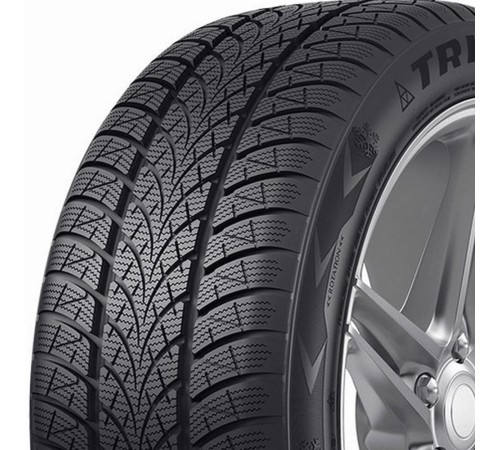 Triangle XL WinterX TW401 205/55R17 95V 