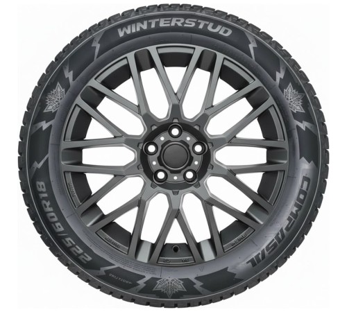COMPASAL WINTER STUD 195/55R16 87T