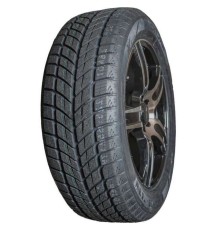 Double Star DW09 315/35R20 106T, TL