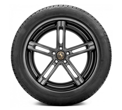 Continental XL ContiWinterContact TS 830 P (MO) Mercedes-Benz 285/35R20 104V 