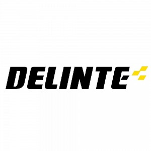 Delinte