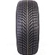 Шина Nexen WH2 185/70R14 88T легковая