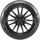 Шина Pirelli Cinturato P7 C2 215/55R16 97W, TL легковая