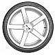 Шина Delinte DS8 315/30R22 107Y, TL легковая