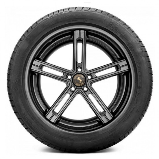 Шина Continental ContiWinterContact TS 830 P 255/35R20 97W, TL легковая