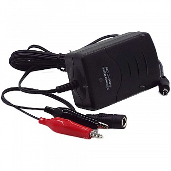 Зарядное устройство RDrive Junior C1-12(12V)